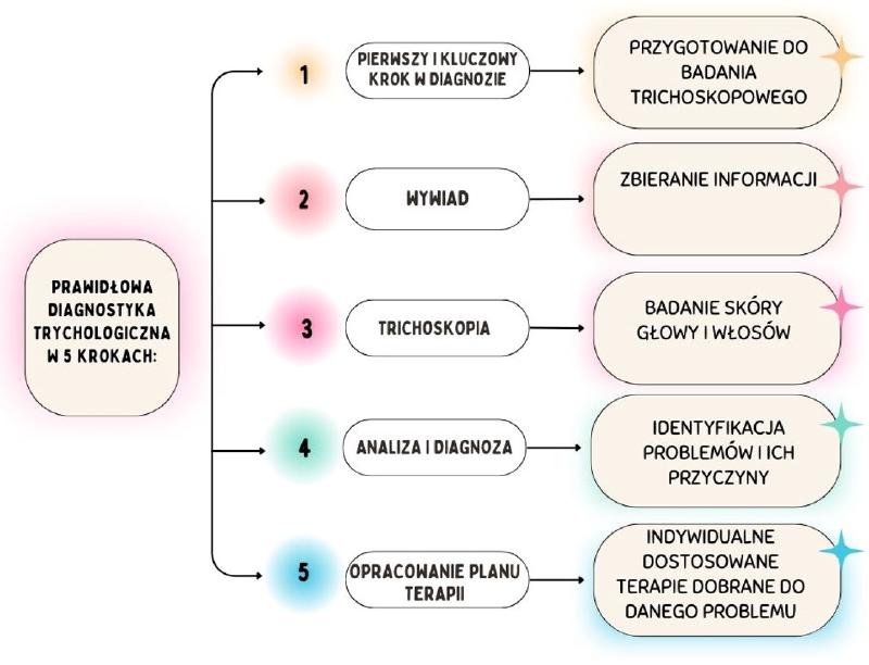 Źródło: Opracowanie własne